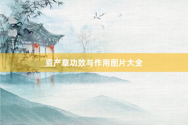 资产草功效与作用图片大全