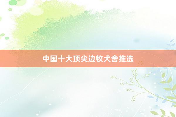 中国十大顶尖边牧犬舍推选